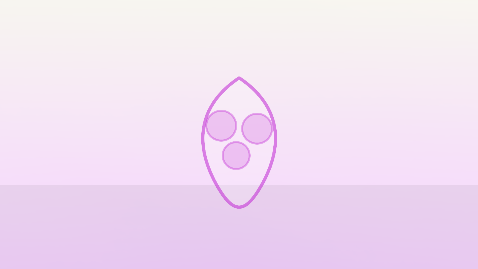 Regalo elegante y flores, estética editorial en Bucaramanga